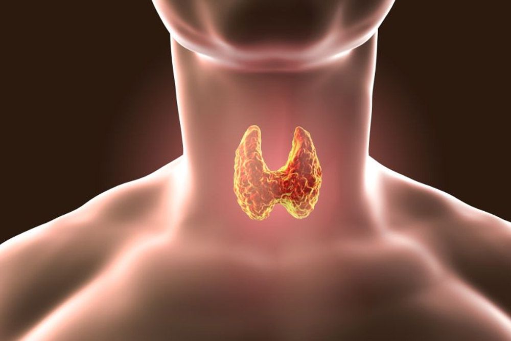 tireoidite hashimoto.jpg