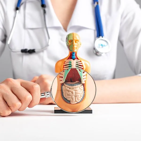 colo imagem 01 1920w